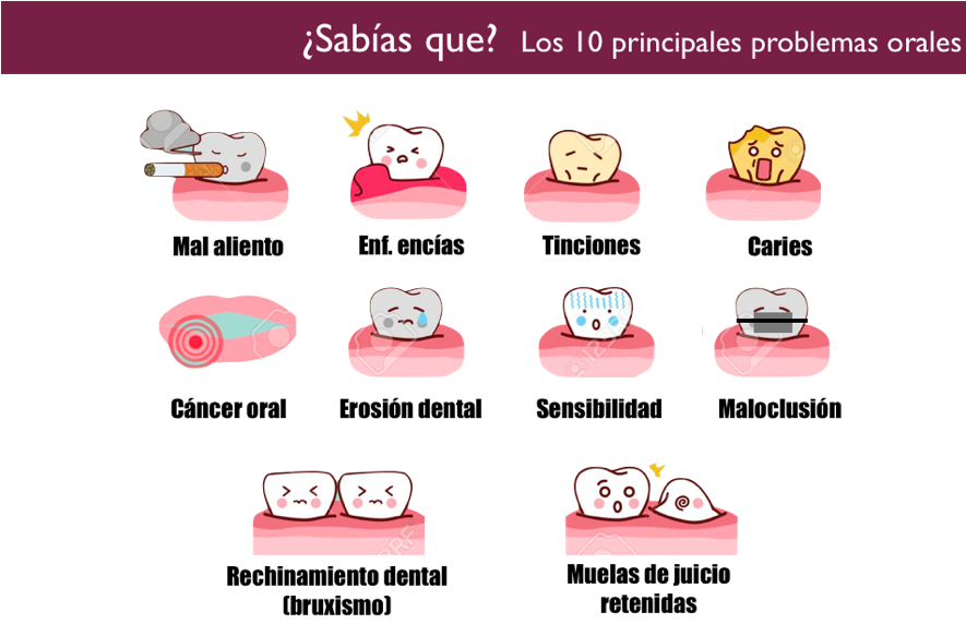 Salud Bucodental y Odontología